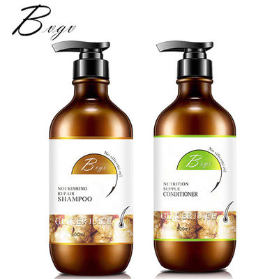 Champú anti de Hairfall de la caspa anti ligera del olor